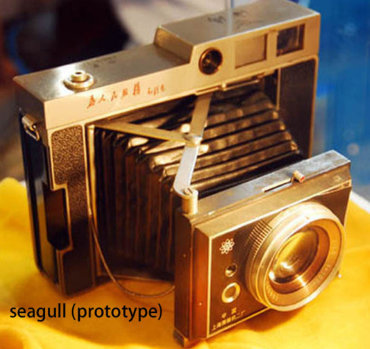 02-05 Seagull 海鷗 prototype