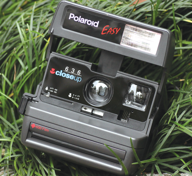 04-04 636 closeup easy