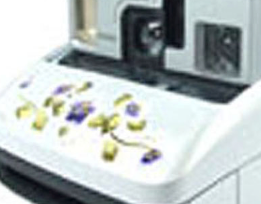 04-06 classic korea hand paint white 02