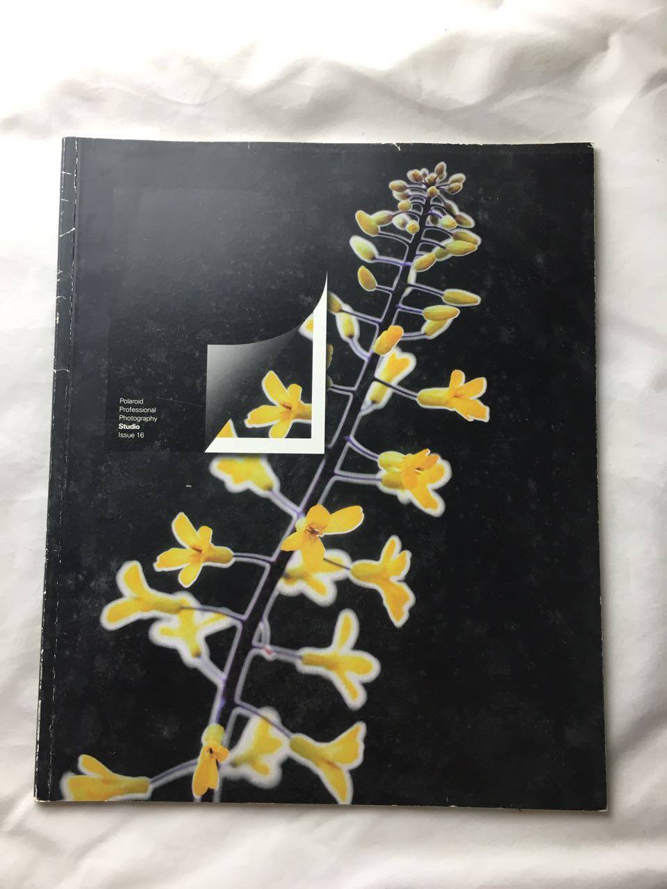 periodical | p magazine 16