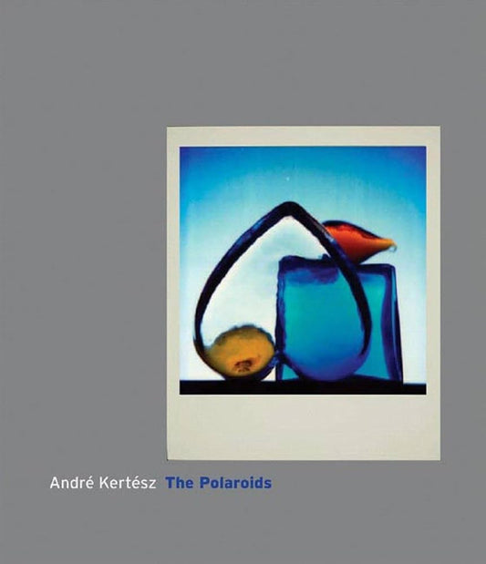 photobook | Andre Kertesz The Polaroids