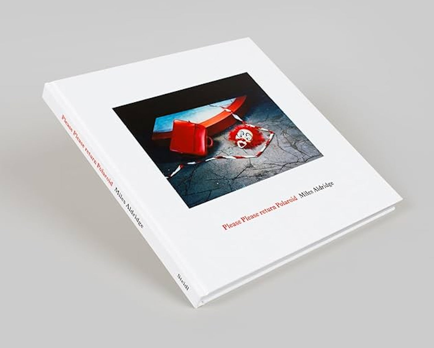 photobook | please please return polaroid - Miles Aldridge