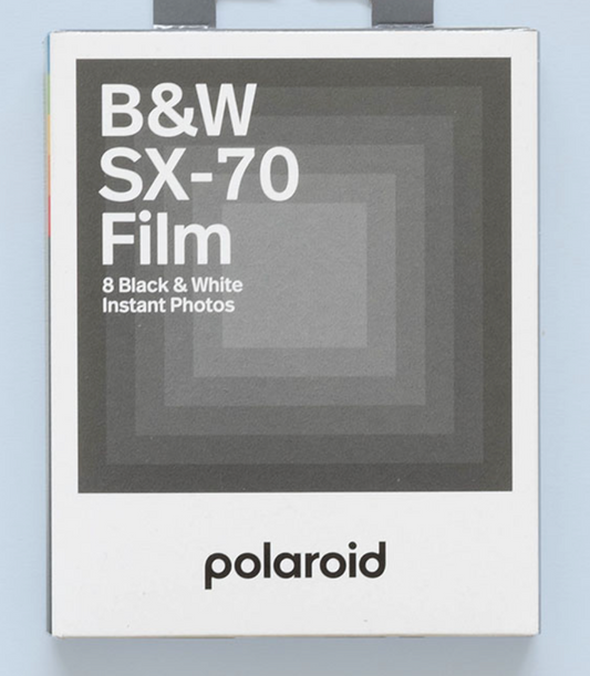 film | polaroid (new) SX-70 b&w 001