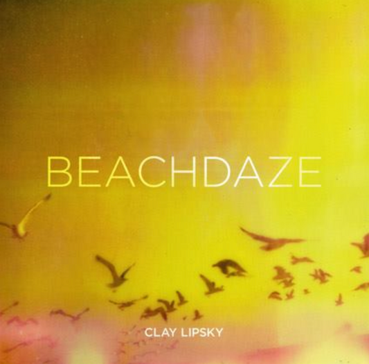 photobook | BEACHDAZE Clay Lipsky