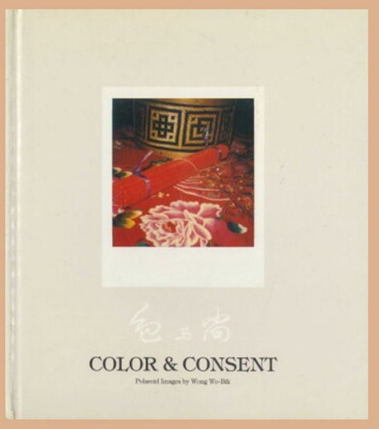 photobook | 色與尚 王和壁 color & consent wong wo bik